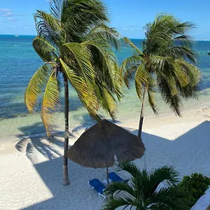 Tropical Apartment